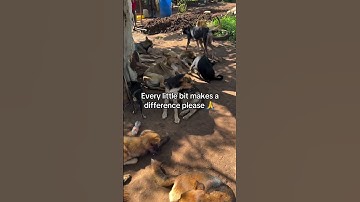 save us from this misery please while donating vis PayPal link in bio🙏🏻🙏🏻