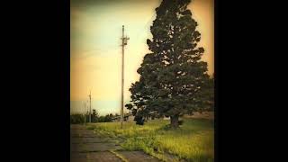 #Finlandia the Town That Never Happened #abandoned #minnesota