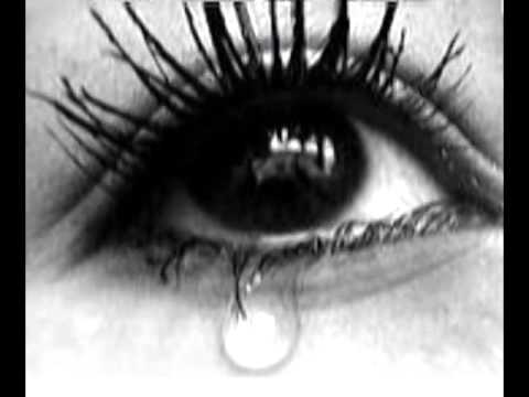 جنون ياسر عبدالرحمن