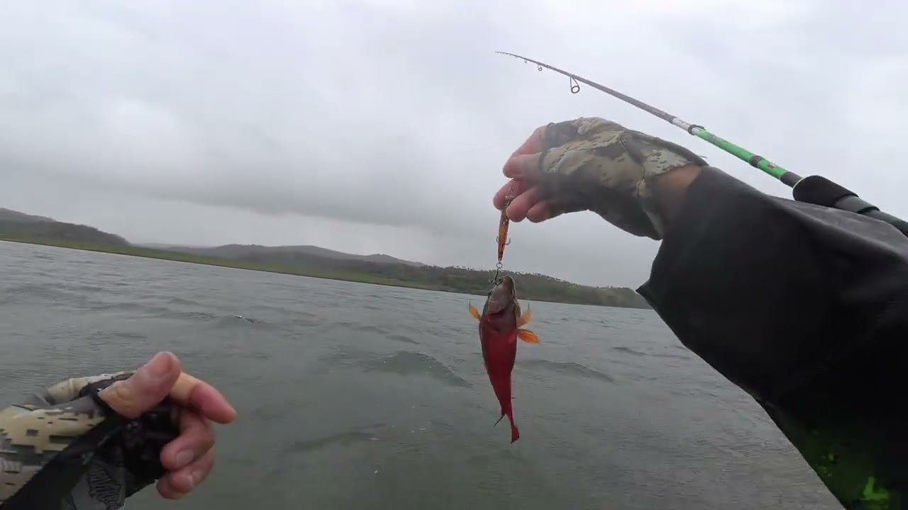 Unang fishing ng taon happy fishing mga master😁 good luck sa bagong taon  more fish on mga master😄