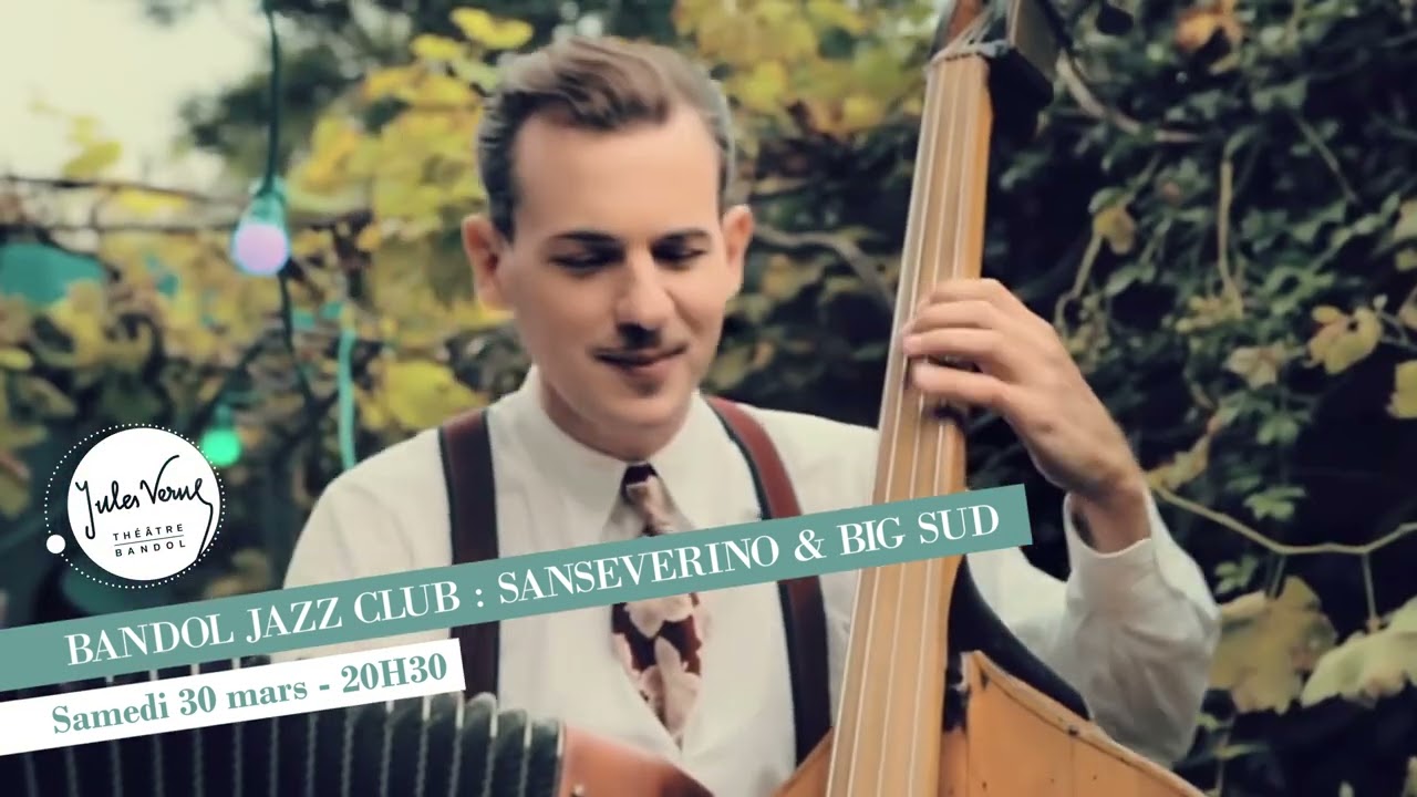 Sanseverino & Big sud en concert