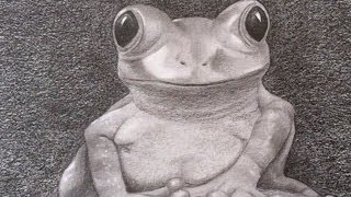 ⁣How to Draw a Realistic Frog