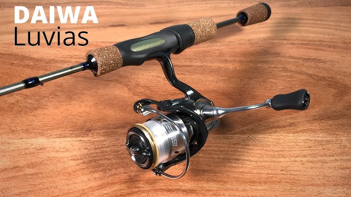 Reel review of the Brand New Daiwa Luvias LT 20 Spinning Fishing