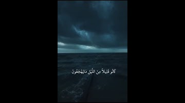 استغفر الله العظيم واتوب اليه- تلاوة عطره القران الكريم