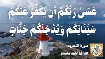 066 أحمد نعينع - سورة التحريم