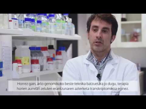 Proyecto iGLIOME /  iGLIOME proiektua [3/3]