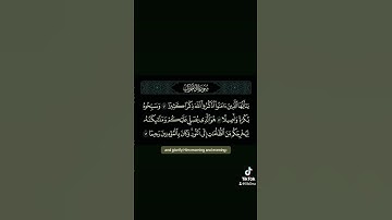 اذكروا الله ذكرا كثير #القارئ #ياسر_الدوسري #راحة_نفسية #quran