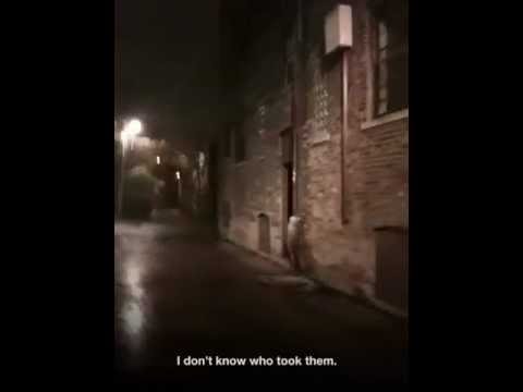 Cold Fury Book Trailer Cold Fury Book Trailer