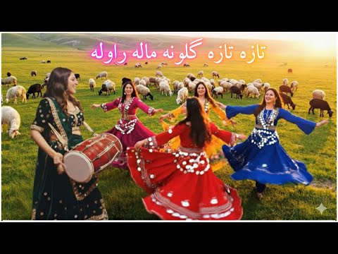 Best Pashto Mast Songs Naray Naray Baran Bimara Da Lali 