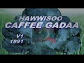 Hawwisoo caffee gadaa 1991 Mp3 Song