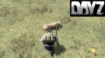 DayZ Mod - How to get meat and cook it