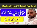 Medical use of mousli soofaid       herbal world