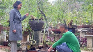 Tiết lộ bí kíp trồng tre bonsai sống và đẹp 100%