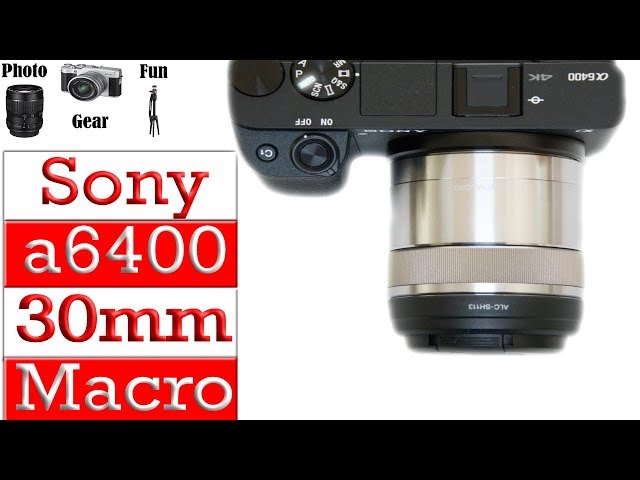 Sony a6400 - Sony 30mm Macro Lens - First Look #Sonya6400Macro