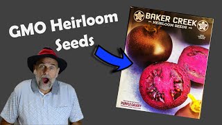 Worlds First GMO Heirloom Tomato! by Garden Fundamentals 11,566 views 2 months ago 11 minutes, 25 seconds