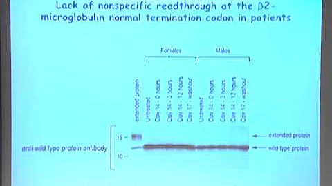 GoldLab Symposium 2012 - Allan Jacobson