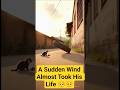 A Sudden Wind Almost Took His Life ~ Kitten Story #shorts #viral #cat