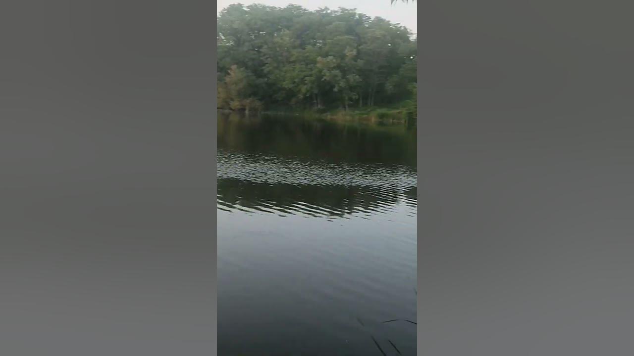 Прогулянка Полтава. #вільнаукраїна #полтава - YouTube