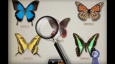 Microdoft Expression Blend 2 Projects