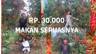 Download Lagu Makan Rambutan Sepuasnya cuma 30.000 di Petatal jalinsum MP3