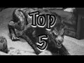 Top 5 Favorite Werewolf Transformations