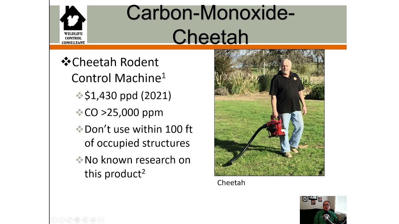 The Basics Of How Carbon Monoxide Fumigation Works In Wildlife Control