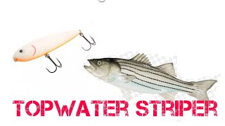 Topwater Striper on Lake Whitney