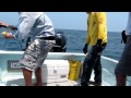Rompin sailfishing  colin zhang