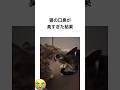 猫の口臭が臭すぎた結果