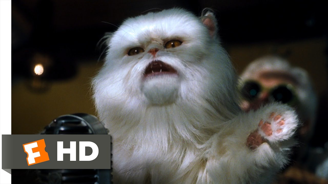  Cats  Dogs  8 10 Movie  CLIP Mr Tinkles Fires Everyone 