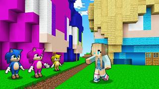 Neden Berca Köyü ve Kız Bebek Sonic Köyü Birleşti? - Minecraft