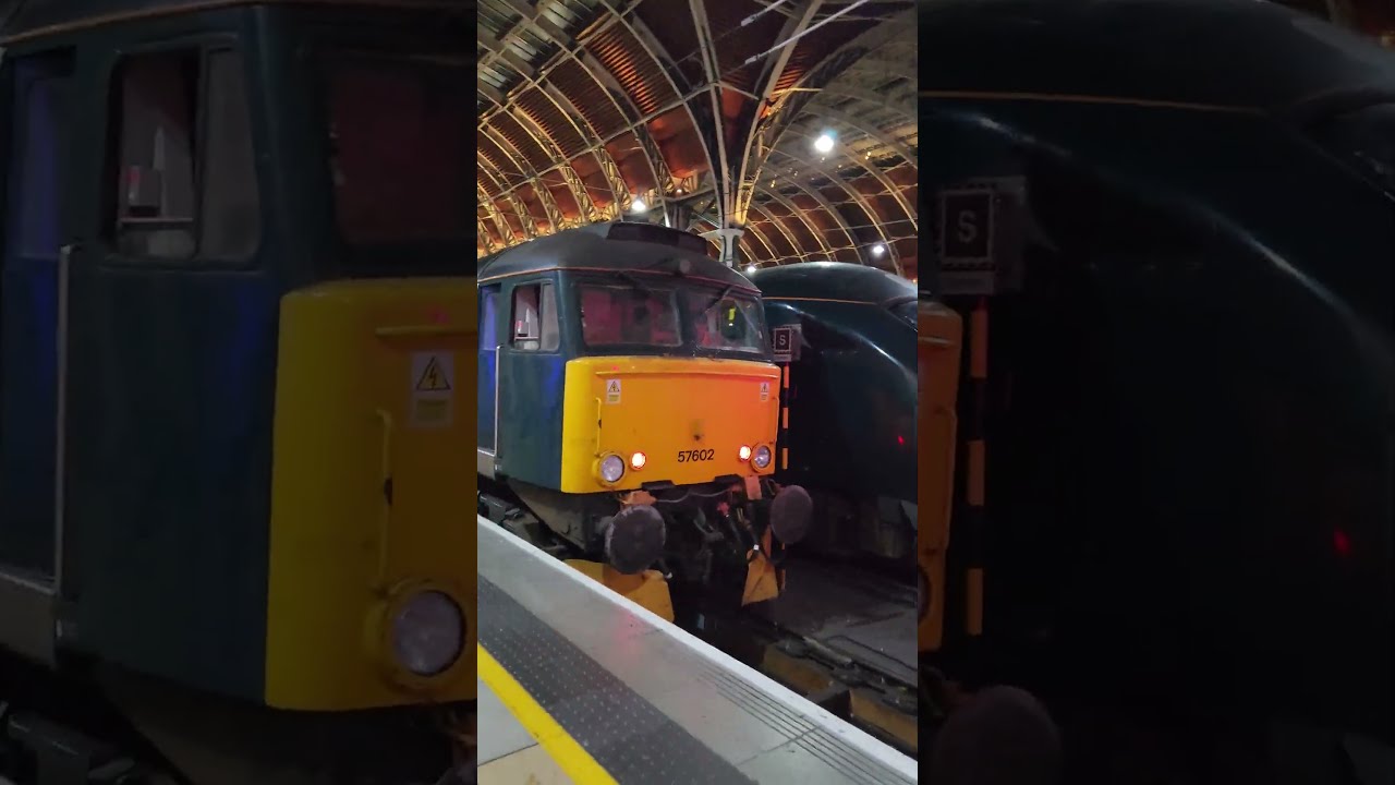 How To Really Find Paddington Bear In London Paddingtonbear Paddingtonstation