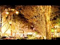 『WINTER SONG』〜Vo.かんなみ まどか Pf.片岡恭子〜