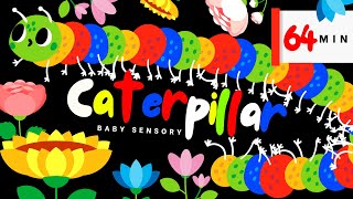 Colorful Caterpillar's Garden: Sensory Videos Hight Contrast Eye Tracking For Babies + Dance Music