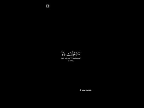 قران كريم اكسبلور فلسطين قرآن 