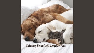 Pet's Rain Serenade