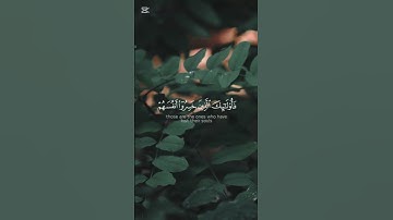 تلاوة خاشعة من سورة المؤمنون بصوت القارئ ياسر الدوسري