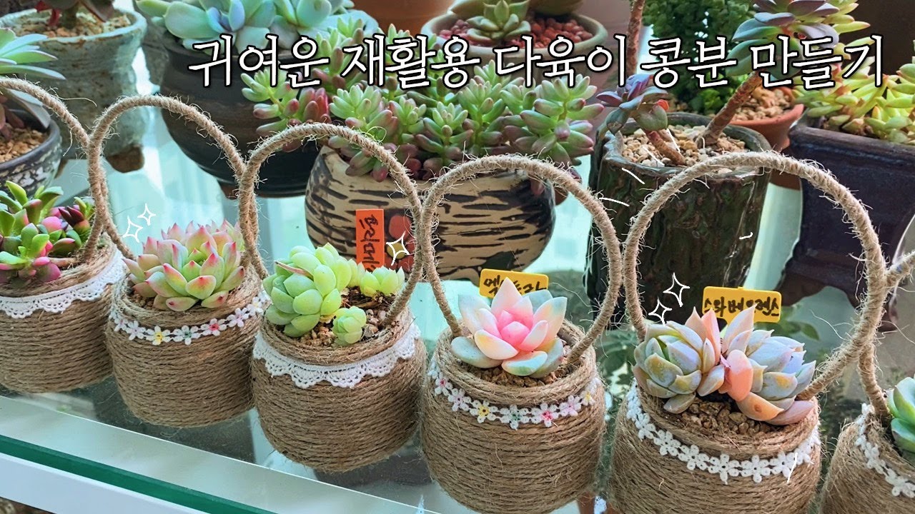재활용 다육화분 만들기 | 귀여운 다육바구니 만들었어요:) 콩분으로 딱이에요! Succulent plant, Succulent