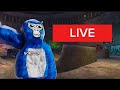 GORILLA TAG LIVE WITH VIEWERS!!