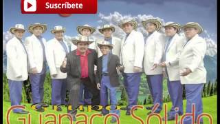 Video thumbnail of "Guanaco Solido - Pa la playa (Cumbia) 503"