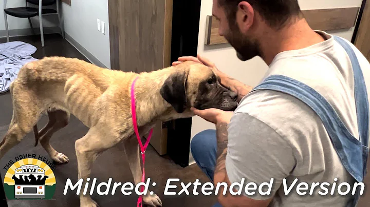 Mildred's Remarkable Story: Extended Edition | The...
