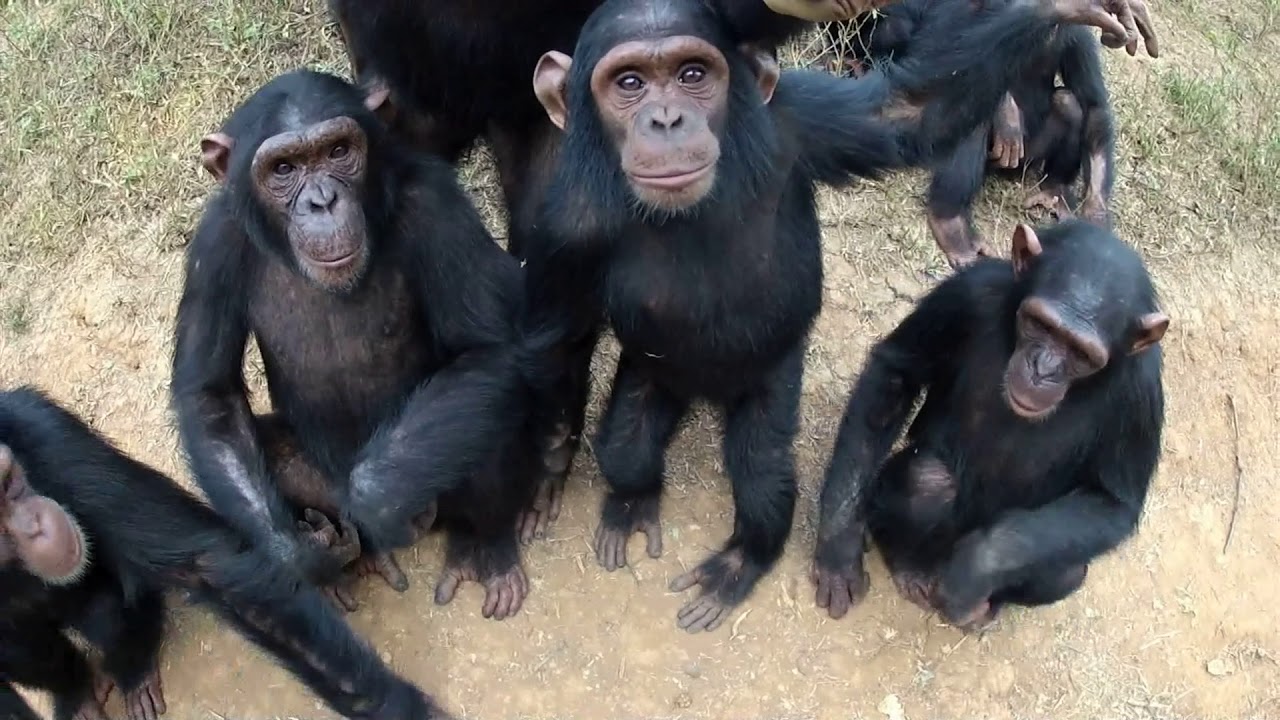 That's New! What Is It?!