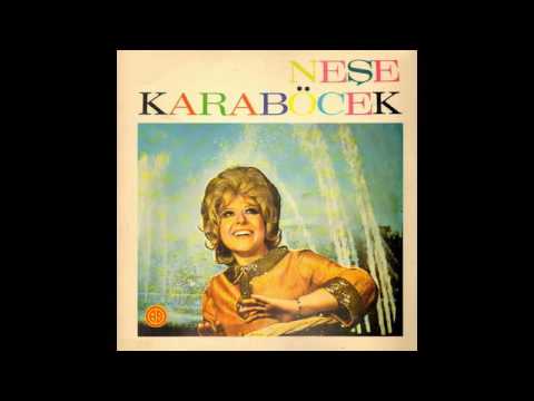 Neşe Karaböcek - Bir Sevda Geldi Başıma