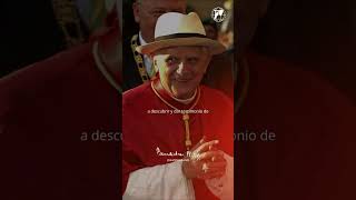 Benedict XVI: 'Contemplating the Lord is fascinating because he attracts us and captivates our he...