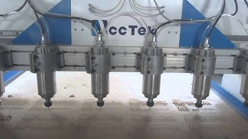 cnc router with 6 heads /multi heads cnc router with Changsheng spindle