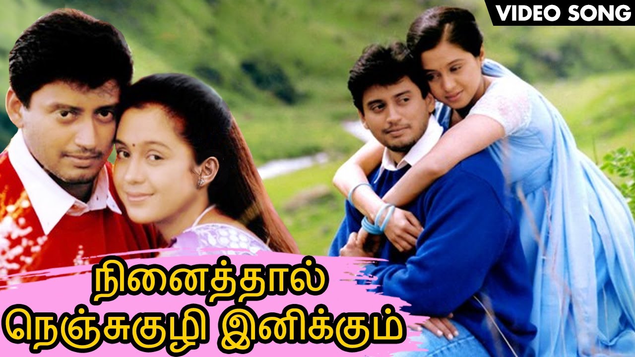 நினைத்தால் நெஞ்சுக்குழி இனிக்கும் அது ஏனோ பாடல் | Romantic Song | Love | 14 February Special Song