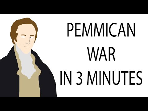 Video: Wie het die pemmikaanoorlog begin?
