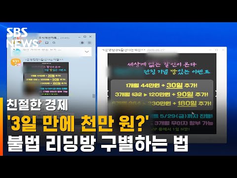 '3일 만에 천만 원?' 불법 리딩방 구별법 / SBS / 친절한 경제