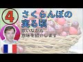 意味を教えて歌う「さくらんぼの実る頃」