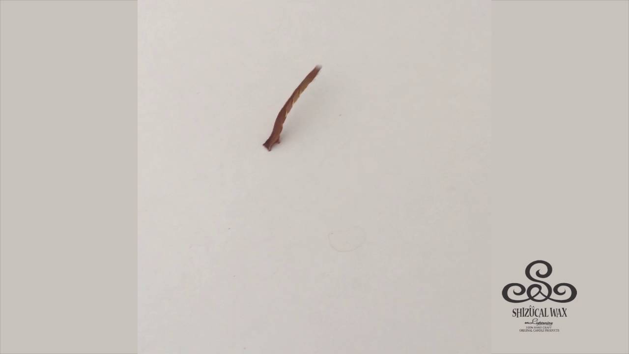 SHIZUCAL WAX measuring worm